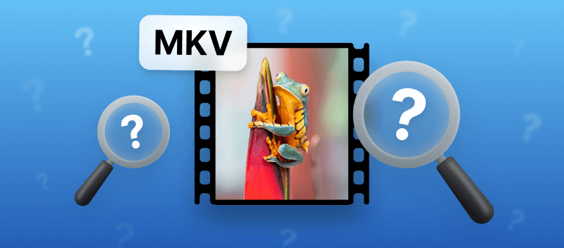 What is an MKV File